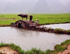 無水硫酸鎂廠家要自身的產(chǎn)品深根細(xì)作才能縱橫